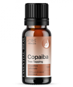 Copaiba Oleoresin – Copaiba illóolaj Tree Tapping