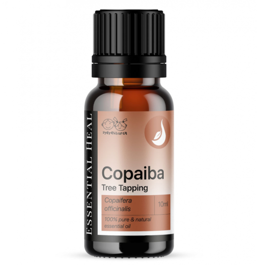 Copaiba Oleoresin – Copaiba illóolaj Tree Tapping